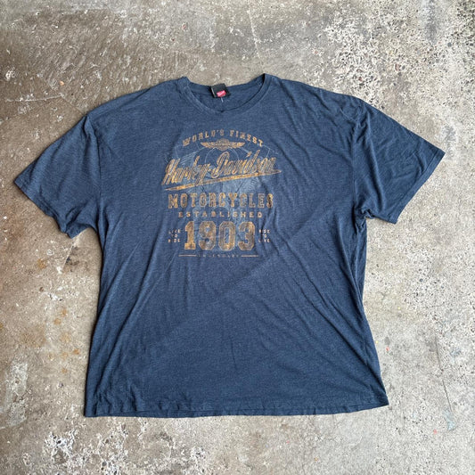 Blue Harley Davidson graphic tee