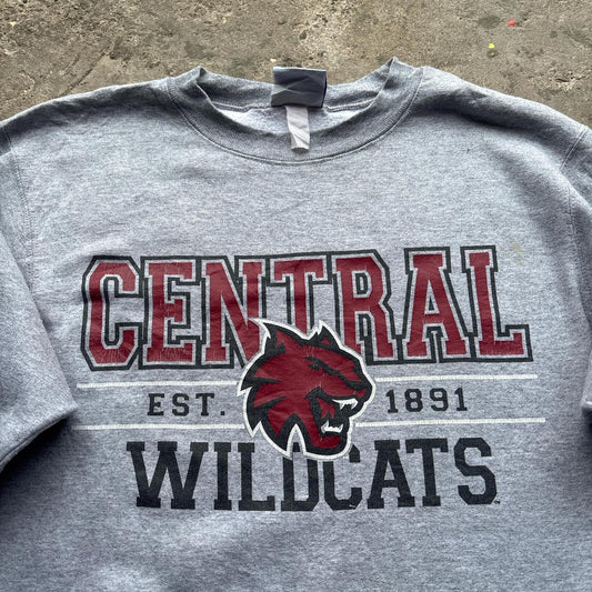 Grey Wildcats Champion sweatshirt - S