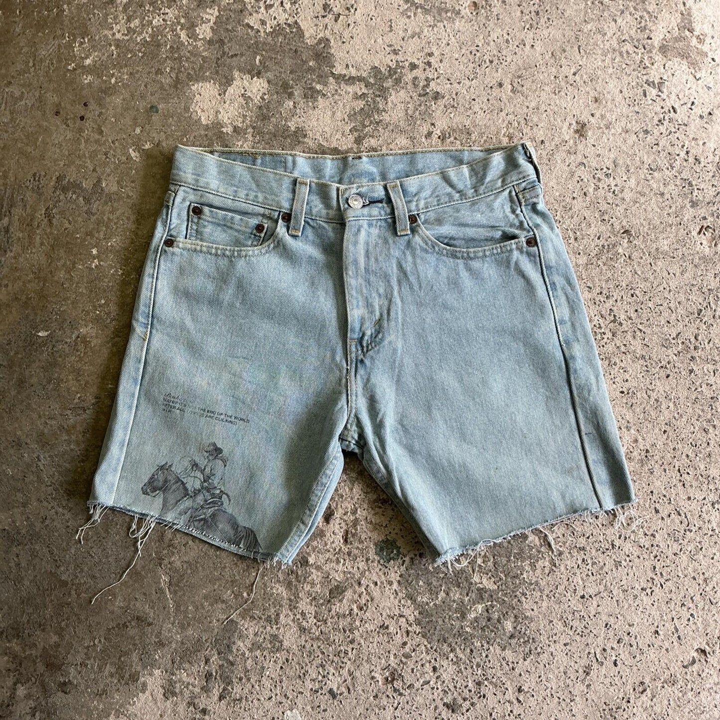 Light Blue Levi’s Cowboy Print Jean Shorts | W29