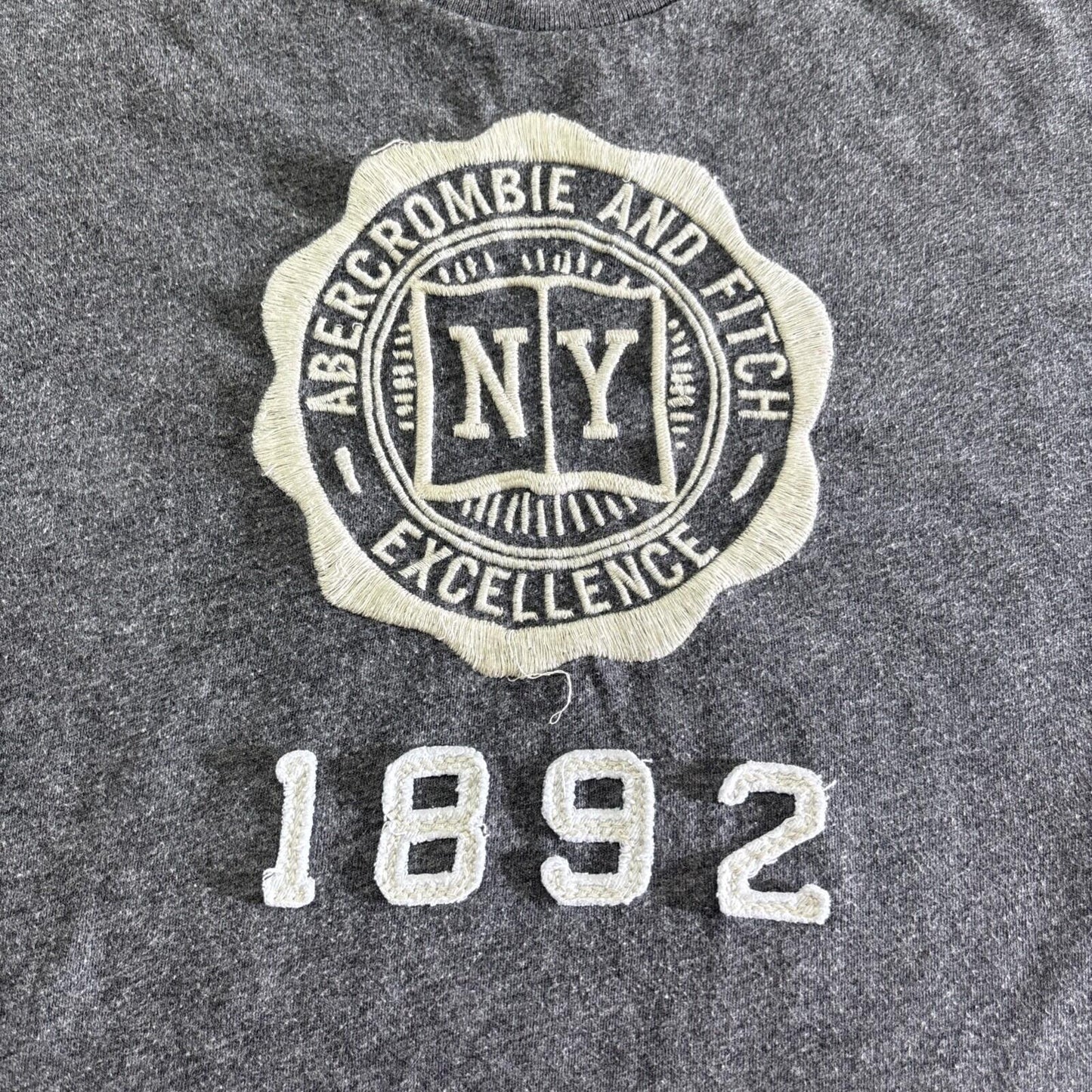 Abercrombie &  Fitch Grey Embroidered T-Shirt | Size: Small