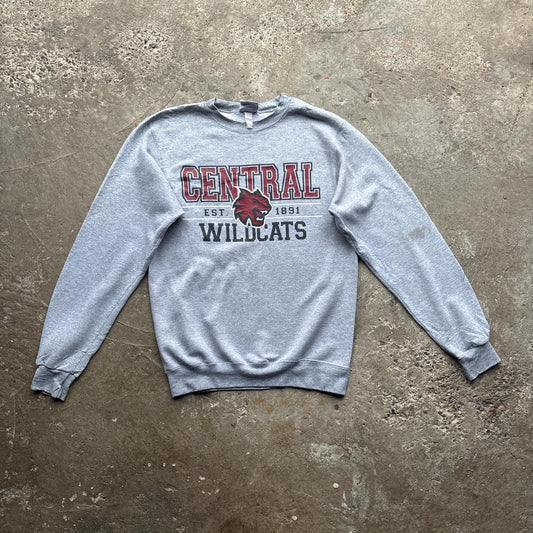 Grey Wildcats Champion sweatshirt - S
