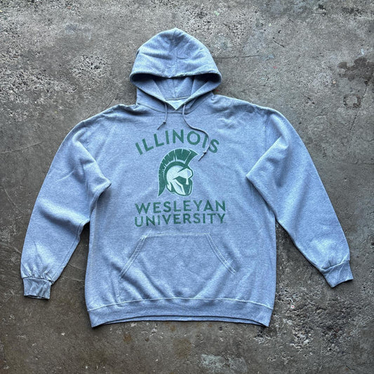Grey Illinois Wesleyan University hoody