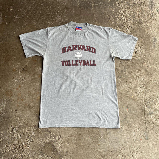 Grey Champion Harvard Volleyball Graphic T-Shirt - L