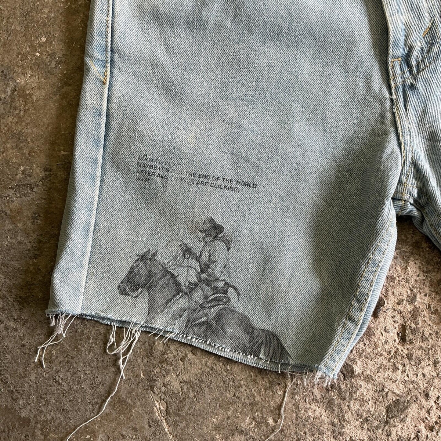 Light Blue Levi’s Cowboy Print Jean Shorts | W29